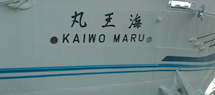 img5.jpg