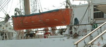 img6.jpg