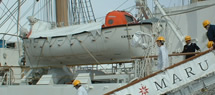 img7.jpg