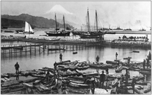 Taisho Lumber.jpg
