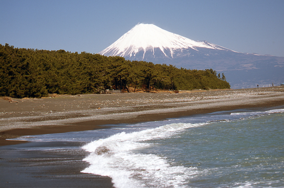 三保の松原と富士山2.jpg