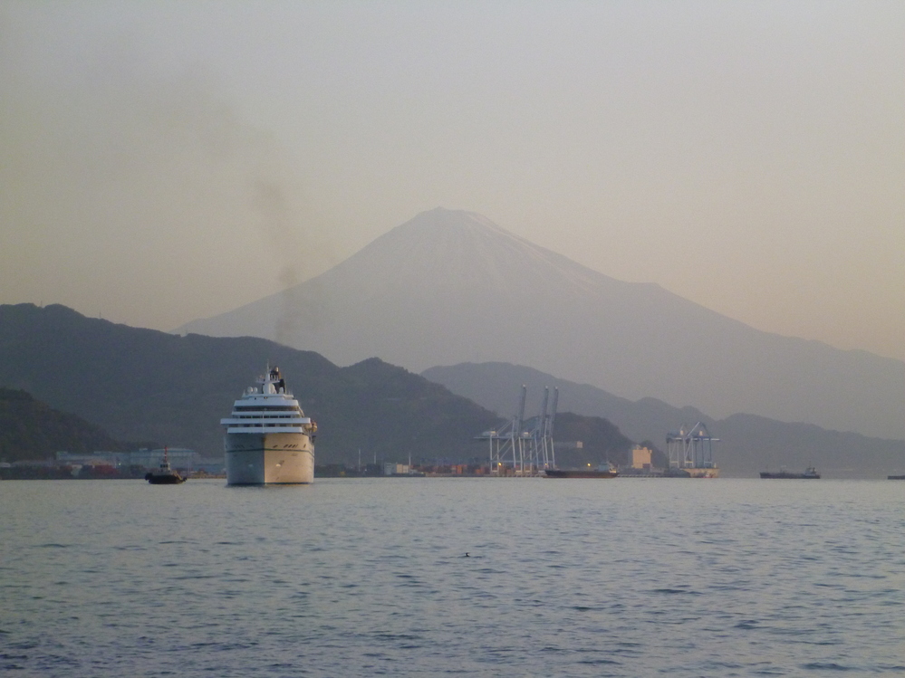 客船「アマデア」２０１３年３月２３日　Amadea, March 23, 2013